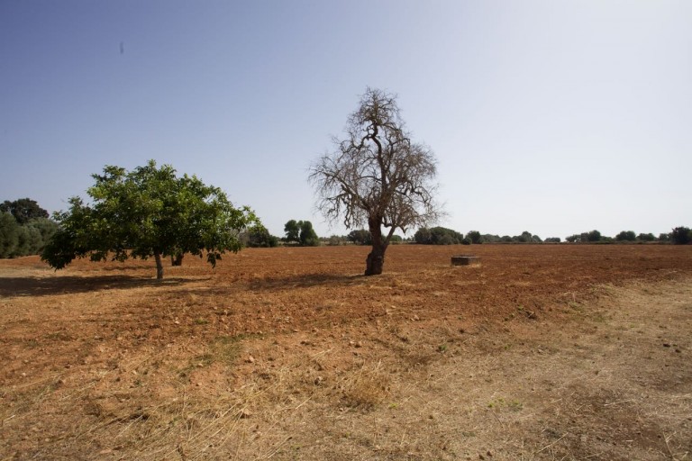 Images for Algaida Finca, Algaida, central Mallorca