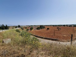 Images for Algaida Finca, Algaida, central Mallorca