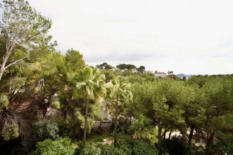 Images for Costa de la Calma villa, Costa de la Calma, SW Mallorca