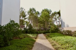 Images for Espinar Penthouse, Bendinat, SW Mallorca