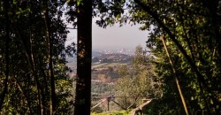 Images for Florence historic villa, Florence, Chianti region, Tuscany