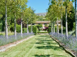 Images for S'Arraco finca, S'Arraco, nr. Andratx, SW Mallorca