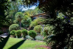 Images for S'Arraco finca, S'Arraco, nr. Andratx, SW Mallorca