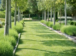 Images for S'Arraco finca, S'Arraco, nr. Andratx, SW Mallorca