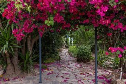 Images for Paseo Maritimo Fenix, Paseo Maritimo, Palma city, Mallorca