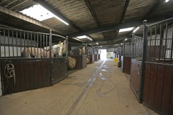 Images for Dog Kennel Lane, Bradley, Ashbourne