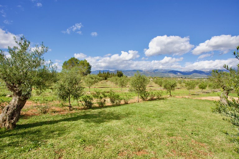 Images for Santa Eugenia finca, Santa Eugenia nr Santa Maria, Mallorca