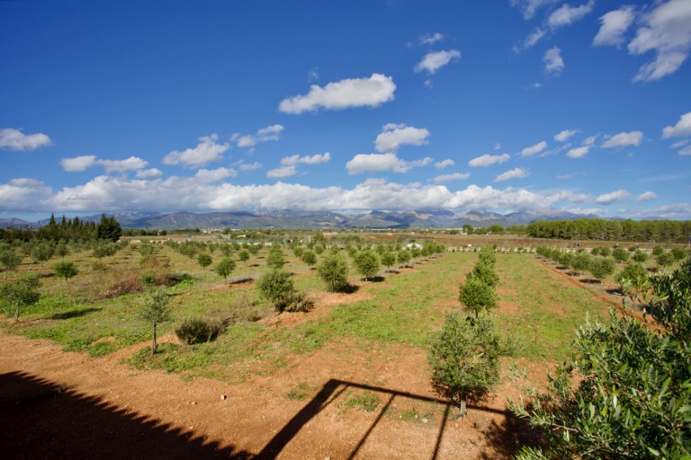 Images for Santa Eugenia finca, Santa Eugenia nr Santa Maria, Mallorca