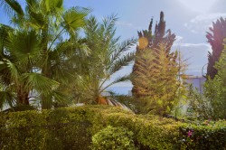 Images for Elements garden apt, Portals Nous, SW Mallorca