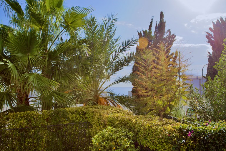 Images for Elements garden apt, Portals Nous, SW Mallorca