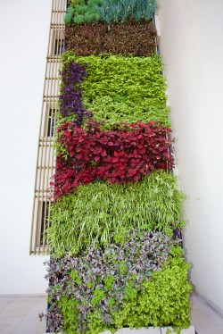 Images for Elements garden apt, Portals Nous, SW Mallorca