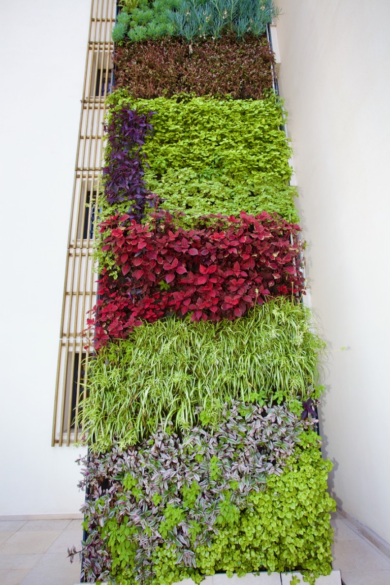 Images for Elements garden apt, Portals Nous, SW Mallorca