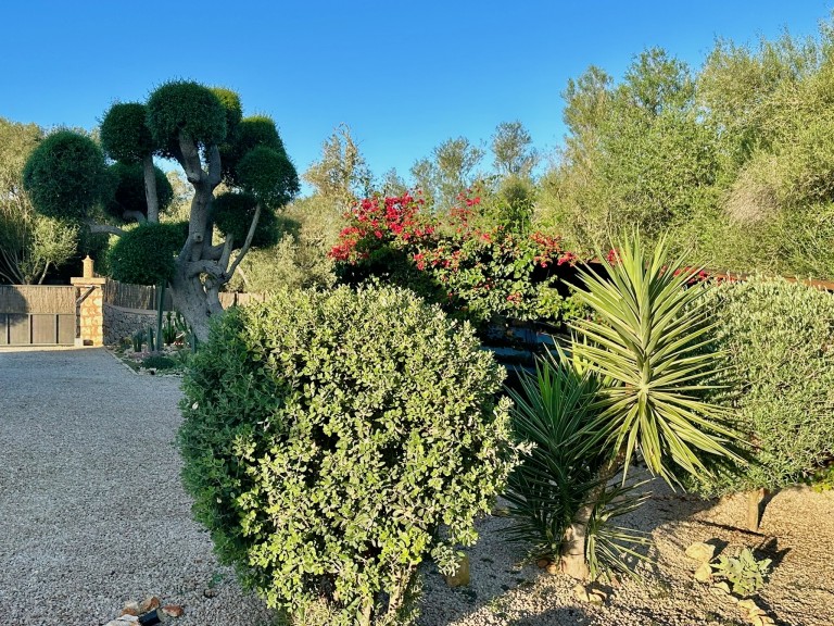 Images for Montuiri villa, Montuiri, Central Mallorca