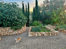 Images for Montuiri villa, Montuiri, Central Mallorca