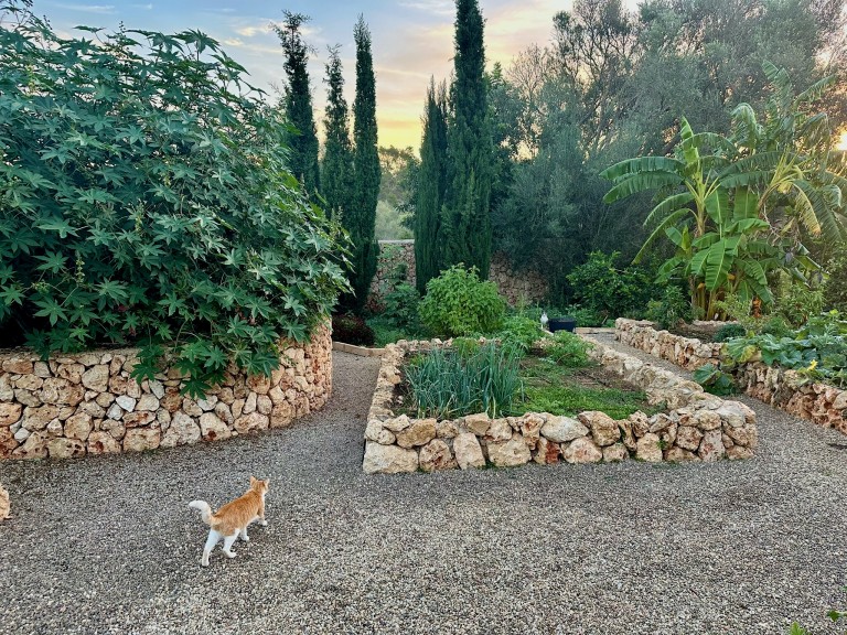 Images for Montuiri villa, Montuiri, Central Mallorca