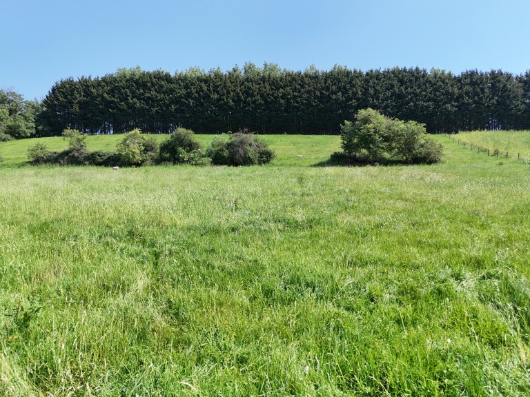 Images for 135 acres, Beckington, Frome