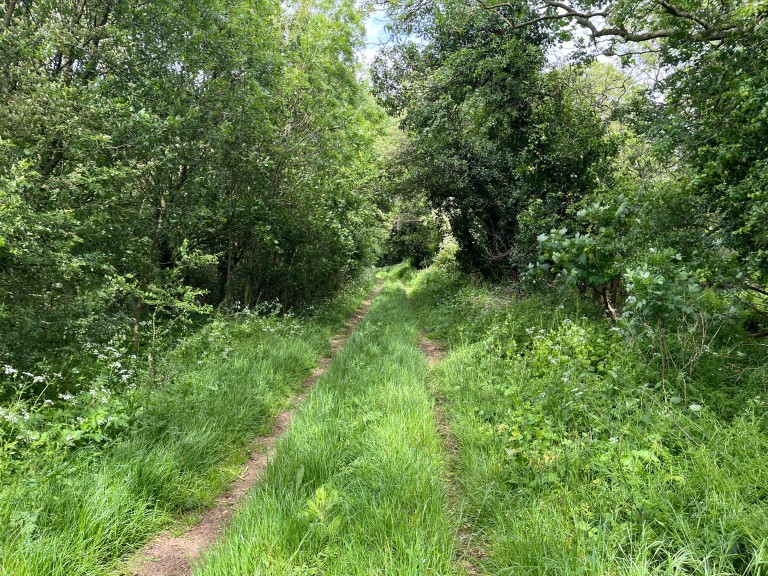 Images for 135 acres, Beckington, Frome