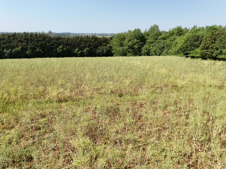Images for 135 acres, Beckington, Frome