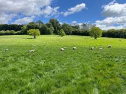 Images for 135 acres, Beckington, Frome