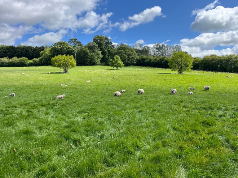 Images for 135 acres, Beckington, Frome