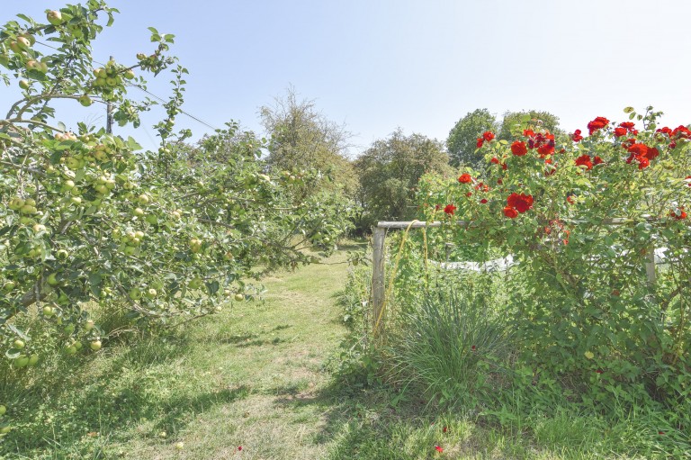 Images for Annexe and Paddock, Withy Road, East Huntspill, Highbridge, Somerset