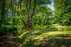 Images for South Sway Lane, Sway, Lymington, SO41