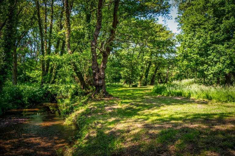 Images for South Sway Lane, Sway, Lymington, SO41
