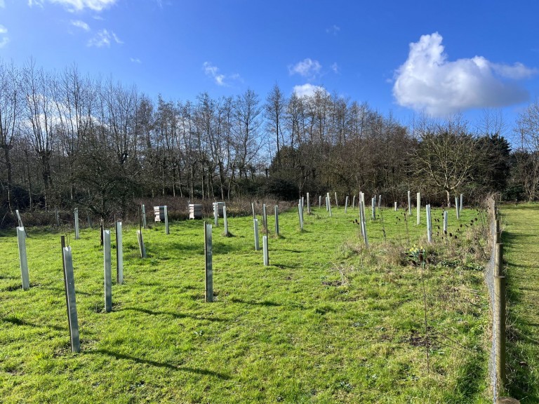 Images for Brundish, Nr Framlingham