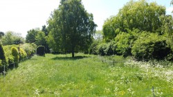 Images for The Green, Saxtead, Near Framlingham