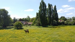 Images for The Green, Saxtead, Near Framlingham