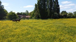 Images for The Green, Saxtead, Near Framlingham