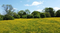 Images for The Green, Saxtead, Near Framlingham
