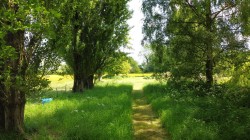 Images for The Green, Saxtead, Near Framlingham