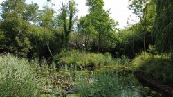 Images for Spexhall, Near Halesworth, Suffolk
