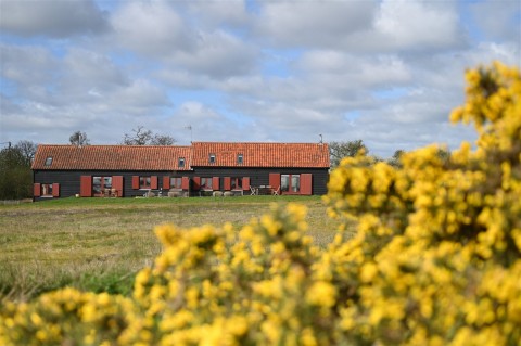 Click the photo for more details of Bulcamp Drift, Nr Southwold, Suffolk