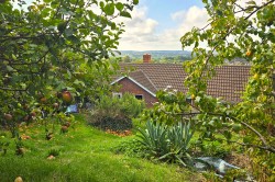 Images for Glastonbury, Somerset