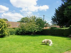 Images for WATLINGTON