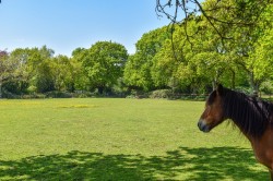 Images for Wooden House Lane, Pilley, Lymington, SO41