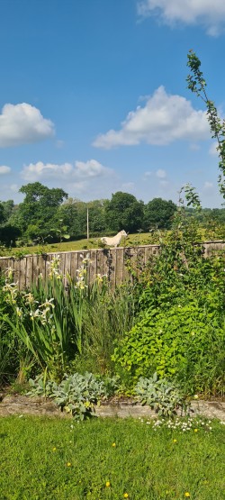 Images for Leigh on Mendip, Somerset