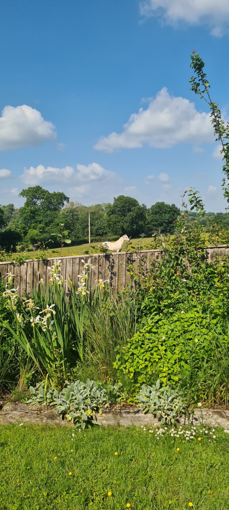 Images for Leigh on Mendip, Somerset