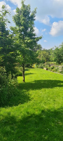 Images for Leigh on Mendip, Somerset