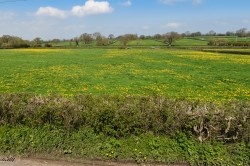 Images for Little Ireland, Wedmore, Somerset