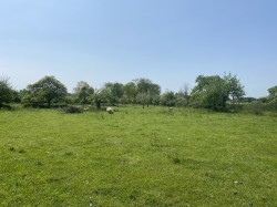 Images for Pedwell, Ashcott, Somerset