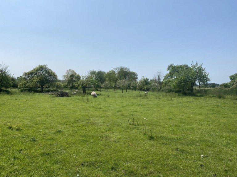 Images for Pedwell, Ashcott, Somerset