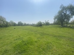 Images for Pedwell, Ashcott, Somerset
