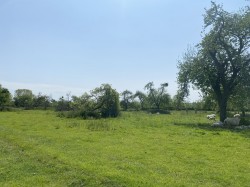 Images for Pedwell, Ashcott, Somerset
