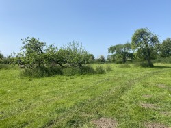 Images for Pedwell, Ashcott, Somerset