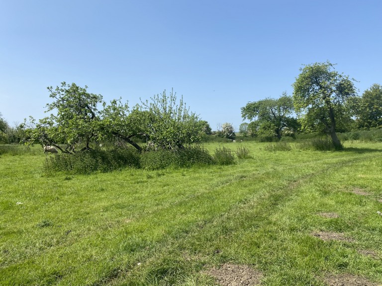 Images for Pedwell, Ashcott, Somerset
