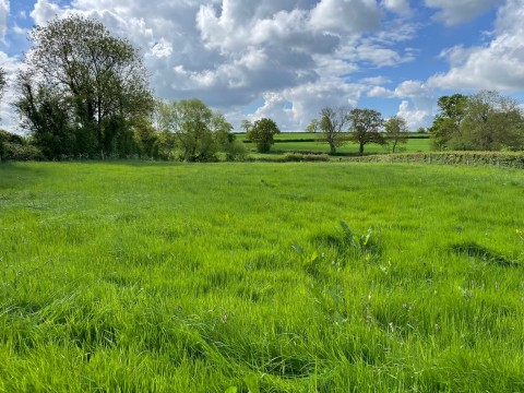 Click the photo for more details of Parbrook, Glastonbury, Somerset