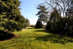 Images for WATLINGTON